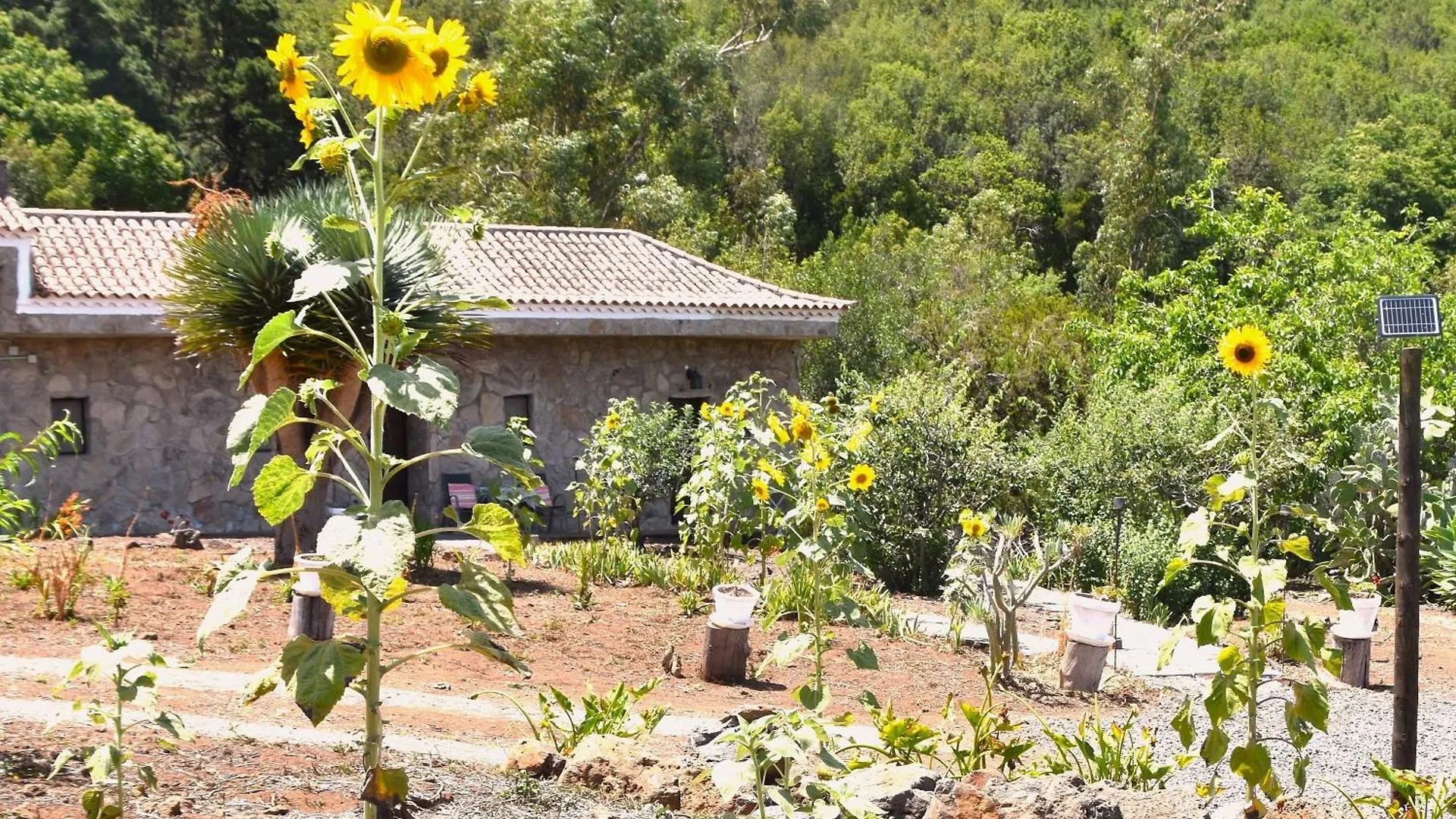 Casa Rural La Gustoza Sauzal